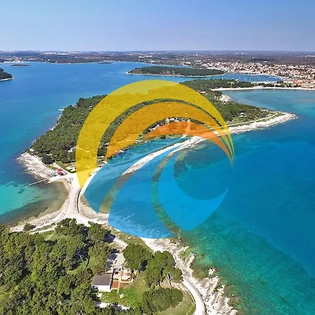 Anikica 1819 ميدولين